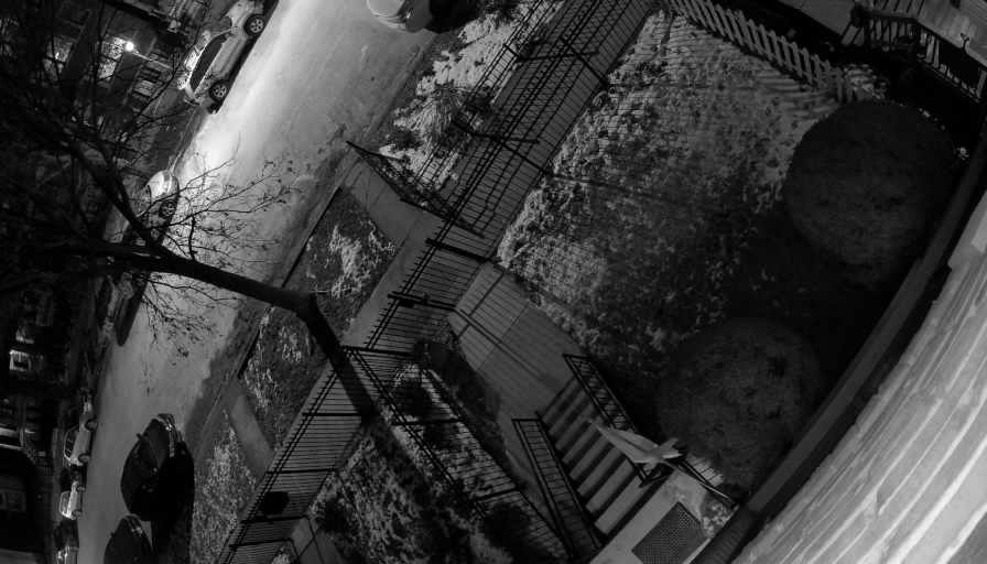 Reolink Camera Two_01_Reolink Home Hub One_20260123193110.jpg